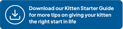 Kitten starter guide