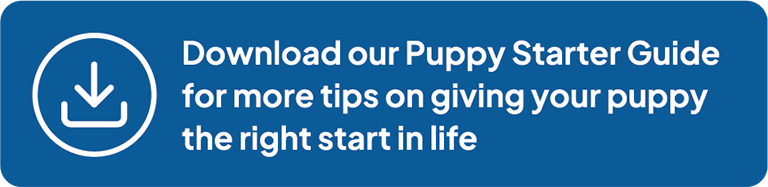 Puppy starter guide